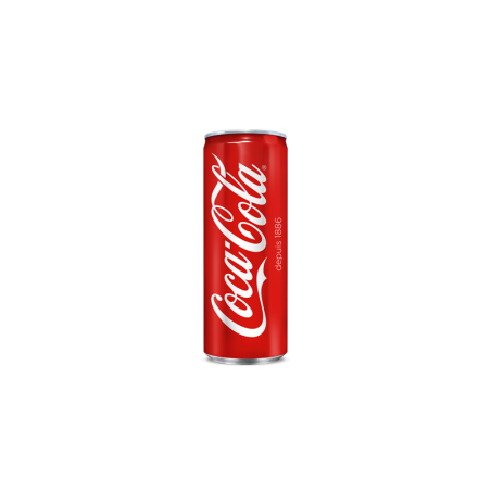 Coca Cola canette slim 33cl
